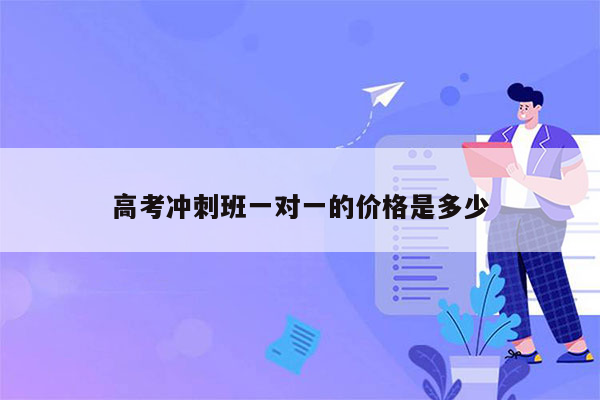 高考冲刺班一对一的价格是多少