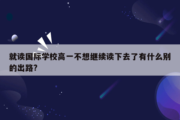 就读国际学校高一不想继续读下去了有什么别的出路?