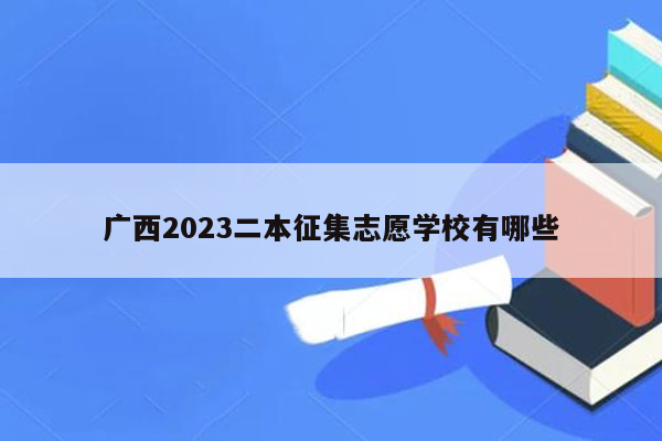 广西2023二本征集志愿学校有哪些