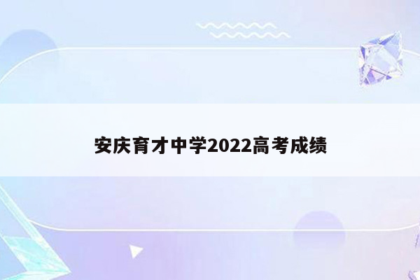 安庆育才中学2022高考成绩