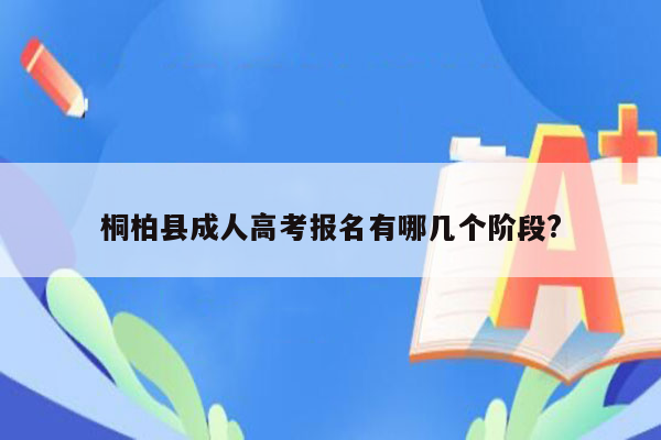 桐柏县成人高考报名有哪几个阶段?