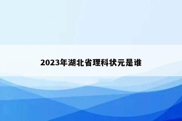 2023年湖北省理科状元是谁