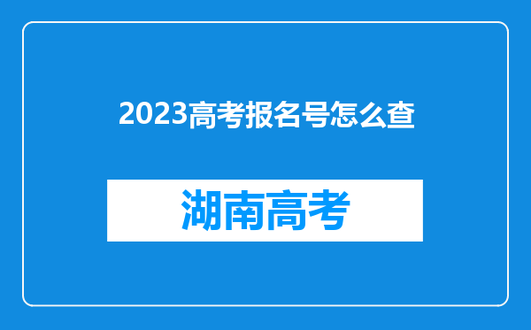 2023高考报名号怎么查