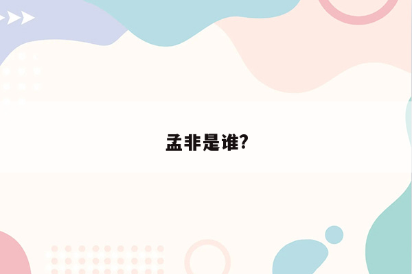 孟非是谁?