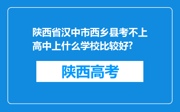 陕西省汉中市西乡县考不上高中上什么学校比较好?