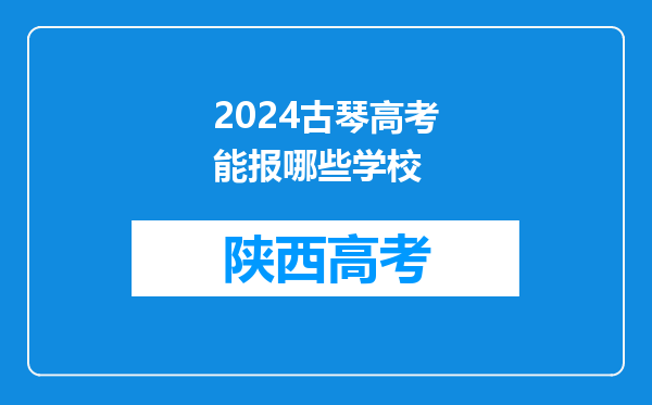 2024古琴高考能报哪些学校