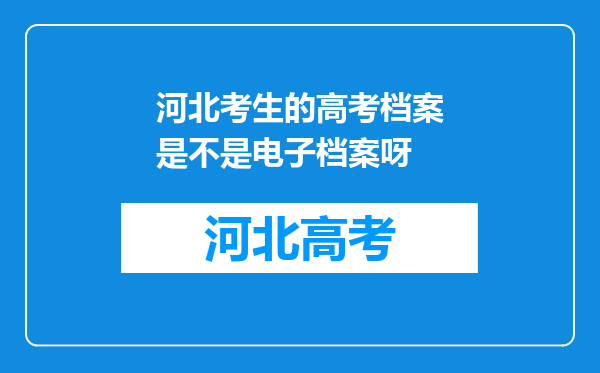 河北考生的高考档案是不是电子档案呀