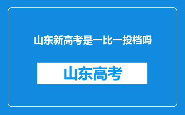 山东新高考是一比一投档吗