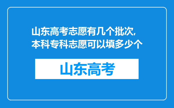 山东高考志愿有几个批次,本科专科志愿可以填多少个