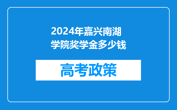 2024年嘉兴南湖学院奖学金多少钱