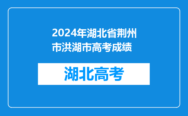 2024年湖北省荆州市洪湖市高考成绩