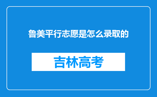 鲁美平行志愿是怎么录取的