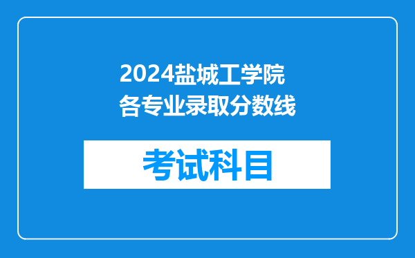 2024盐城工学院各专业录取分数线