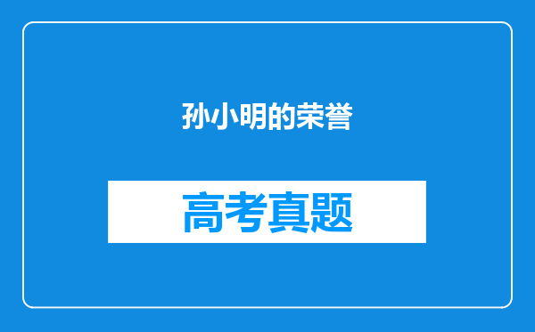 孙小明的荣誉