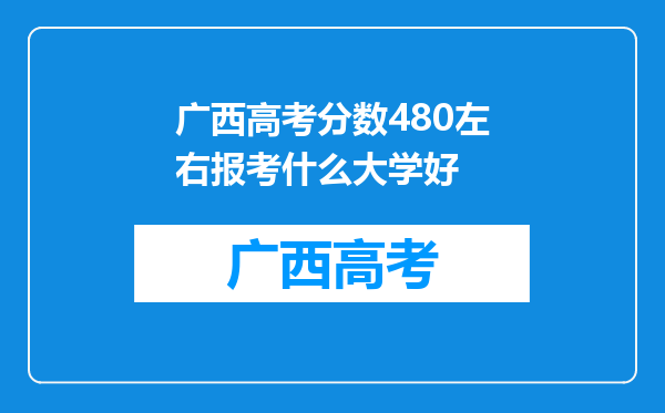 广西高考分数480左右报考什么大学好