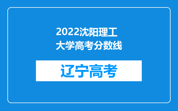 2022沈阳理工大学高考分数线