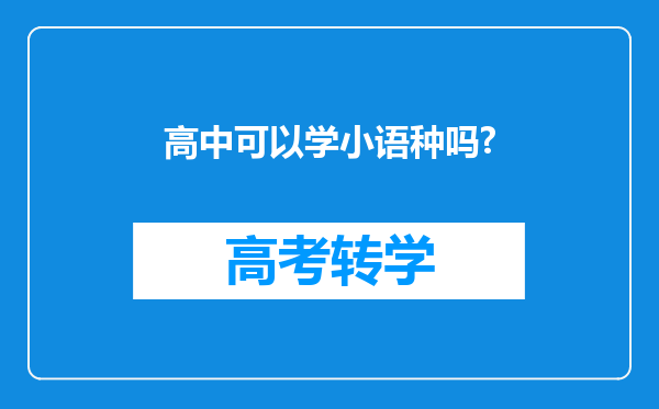 高中可以学小语种吗?