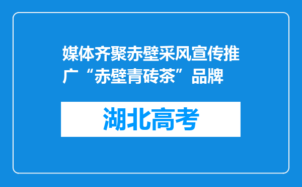 媒体齐聚赤壁采风宣传推广“赤壁青砖茶”品牌