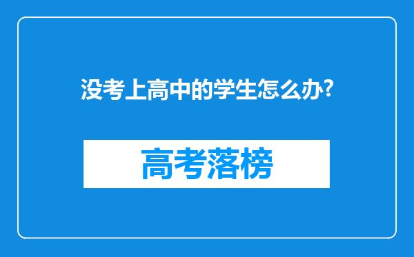 没考上高中的学生怎么办?