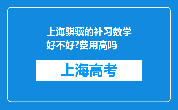 上海骐骥的补习数学好不好?费用高吗