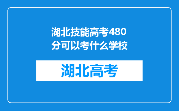 湖北技能高考480分可以考什么学校