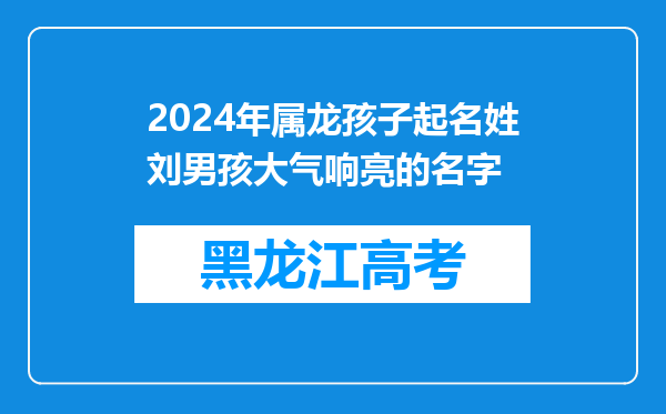 2024年属龙孩子起名姓刘男孩大气响亮的名字