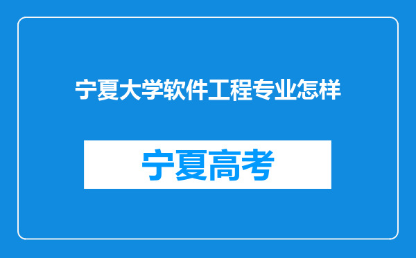 宁夏大学软件工程专业怎样