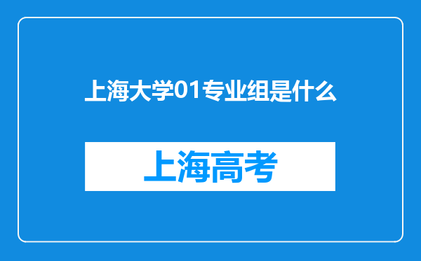 上海大学01专业组是什么