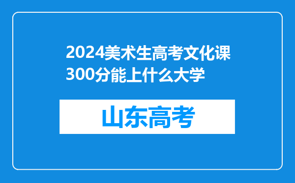 2024美术生高考文化课300分能上什么大学