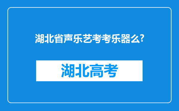 湖北省声乐艺考考乐器么?