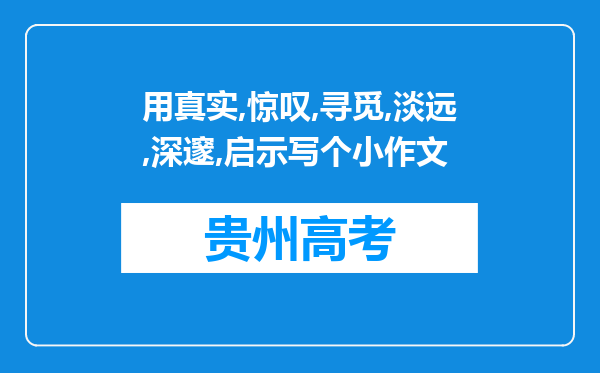 用真实,惊叹,寻觅,淡远,深邃,启示写个小作文