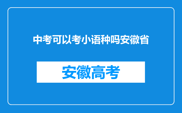 中考可以考小语种吗安徽省