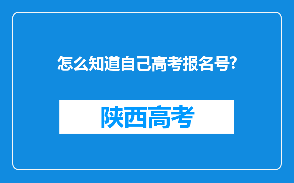 怎么知道自己高考报名号?