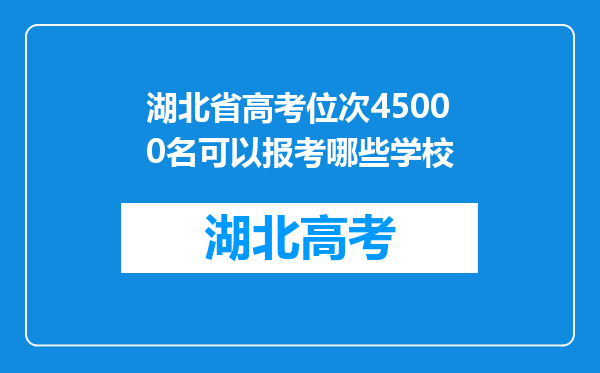 湖北省高考位次45000名可以报考哪些学校