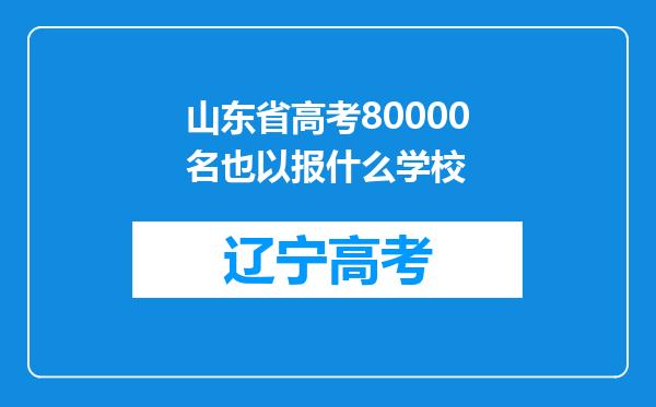 山东省高考80000名也以报什么学校