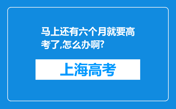 马上还有六个月就要高考了,怎么办啊?