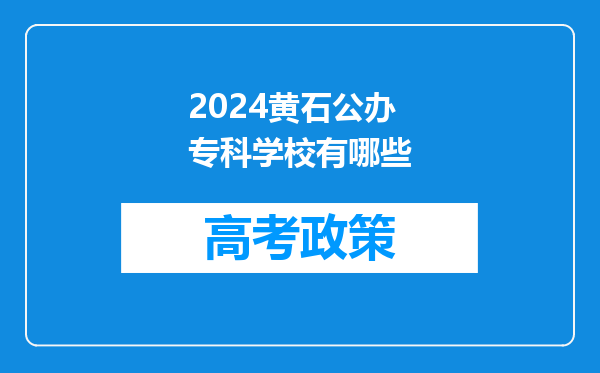 2024黄石公办专科学校有哪些