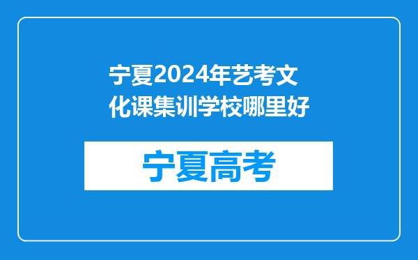 宁夏2024年艺考文化课集训学校哪里好