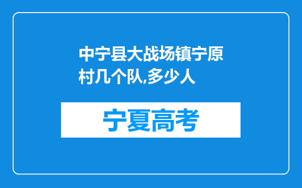 中宁县大战场镇宁原村几个队,多少人