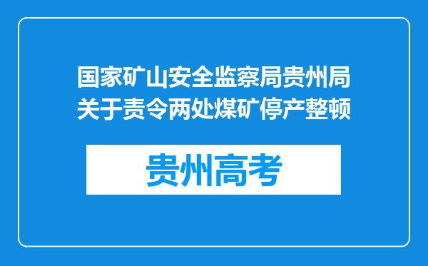 国家矿山安全监察局贵州局关于责令两处煤矿停产整顿