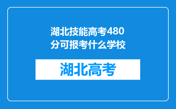 湖北技能高考480分可报考什么学校