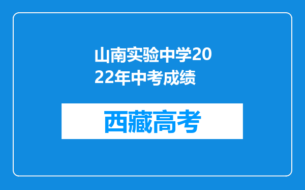 山南实验中学2022年中考成绩