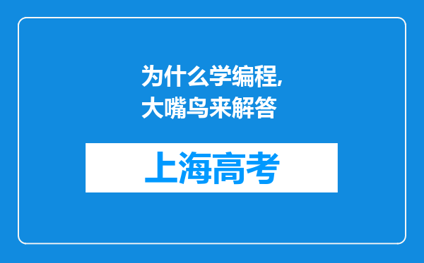 为什么学编程,大嘴鸟来解答