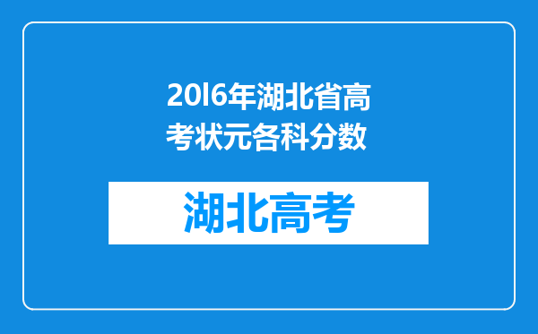 20l6年湖北省高考状元各科分数