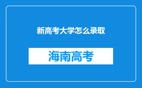 新高考大学怎么录取