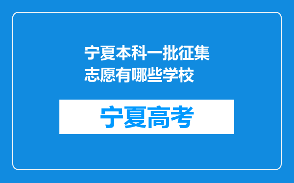 宁夏本科一批征集志愿有哪些学校