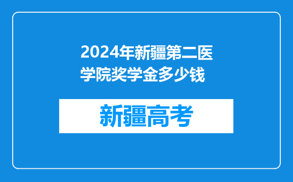 2024年新疆第二医学院奖学金多少钱