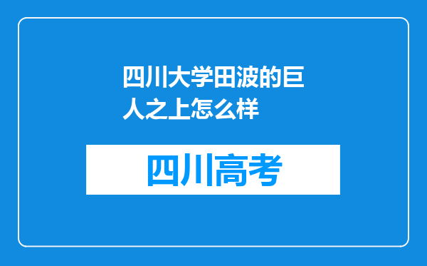 四川大学田波的巨人之上怎么样