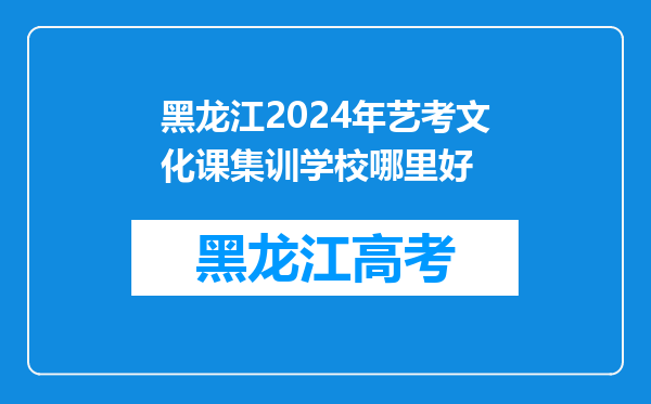 黑龙江2024年艺考文化课集训学校哪里好