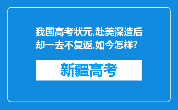 我国高考状元,赴美深造后却一去不复返,如今怎样?